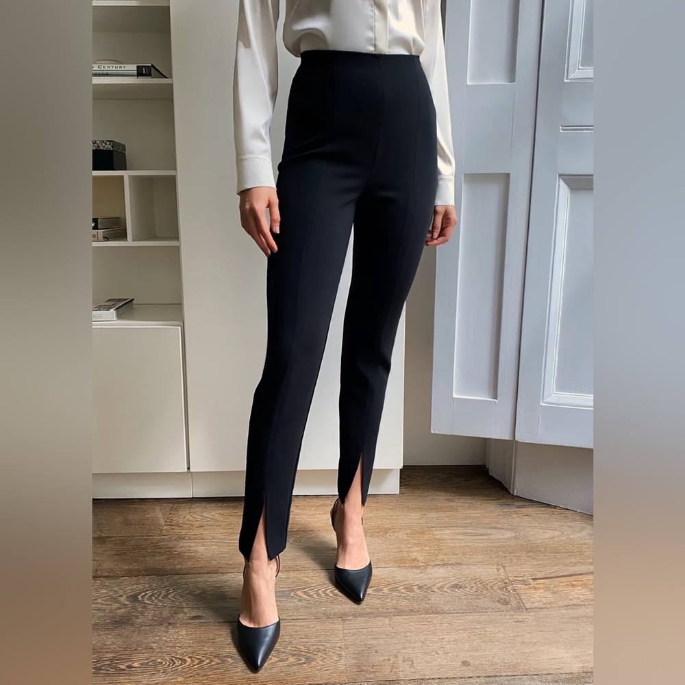 Aritzia Jotham Pant